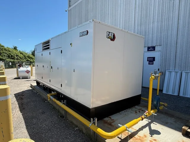Another view of outdoor generator with gas piping